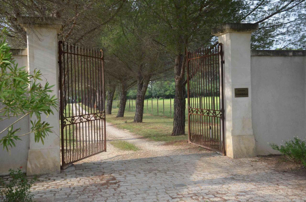 Domaine Shambala - Maison D'Hote En Provence - Piscine Chauffee Velaux Kültér fotó