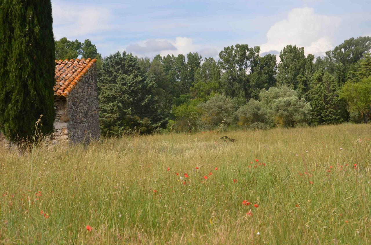 Domaine Shambala - Maison D'Hote En Provence - Piscine Chauffee Velaux Kültér fotó